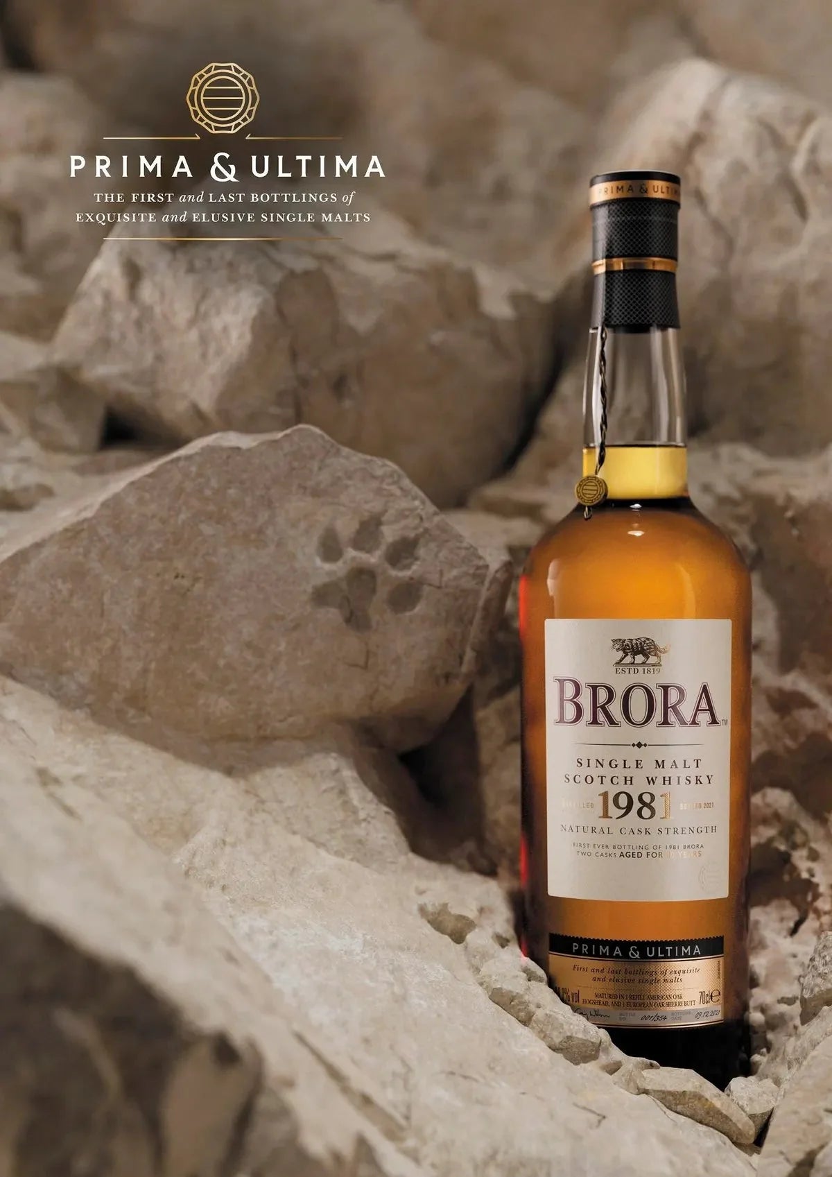 Brora 1980 Aged 40 Years Single Malt Scotch Whisky Natural Cask Strength 49.4% 700ml 01x01